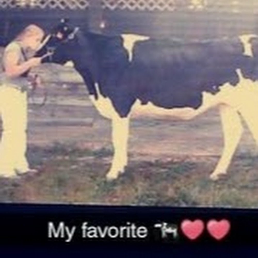 Meet your Posher, Avri